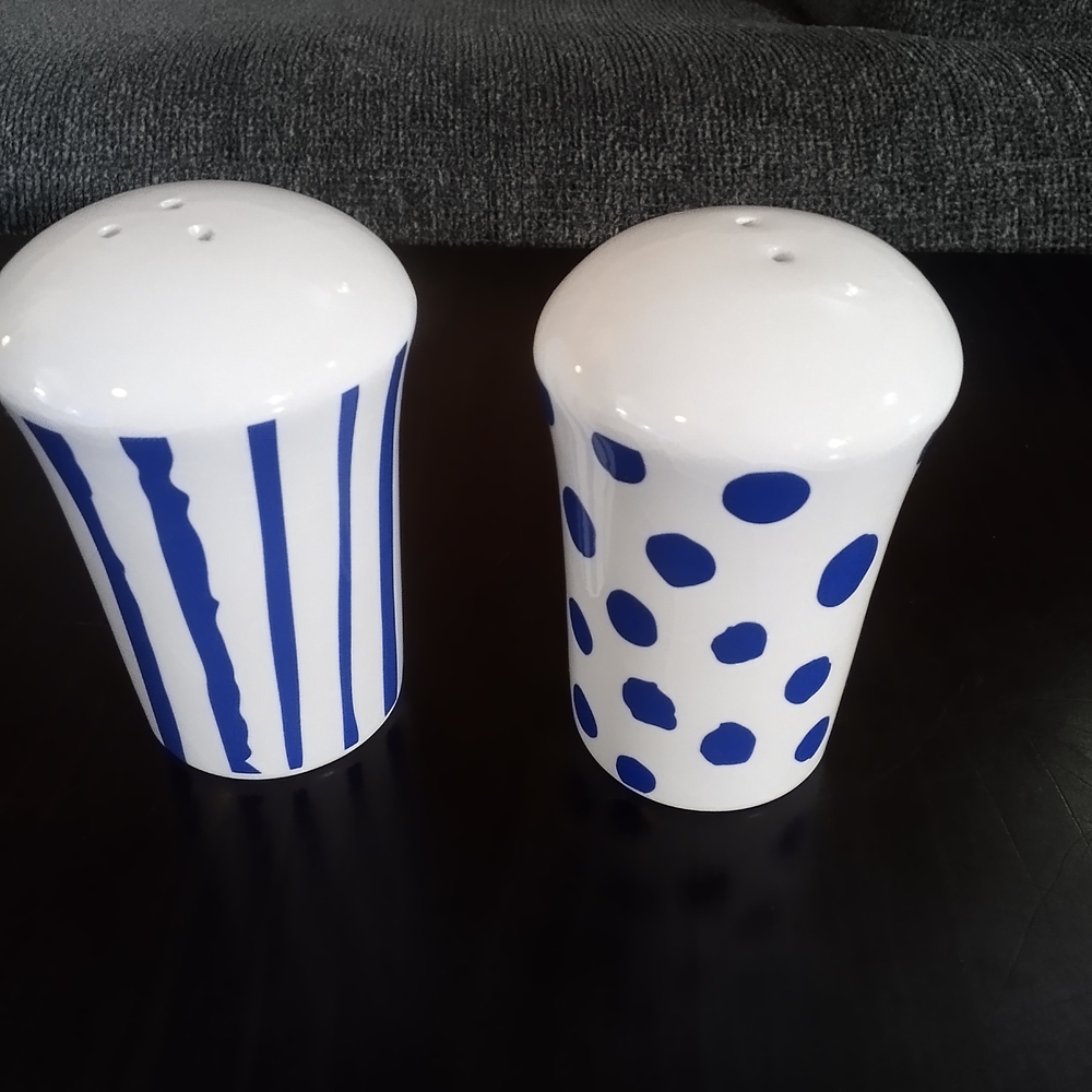 Blue and White Ceramic Salt and Pepper Shakers